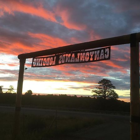 Bluebell Cabin, Glamour Cabin Camping, Stunning Night Sky Monticello Ngoại thất bức ảnh